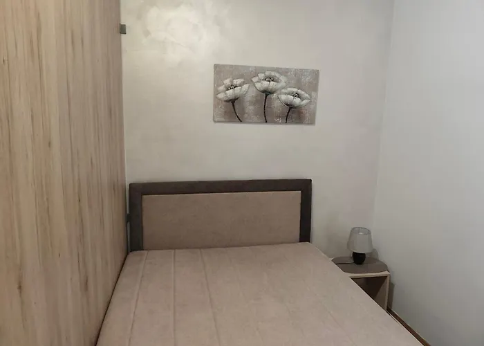 Teo * זלאטיבור