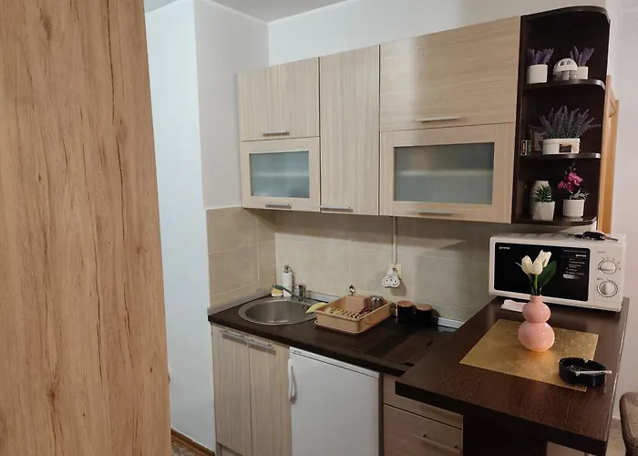 Teo * זלאטיבור